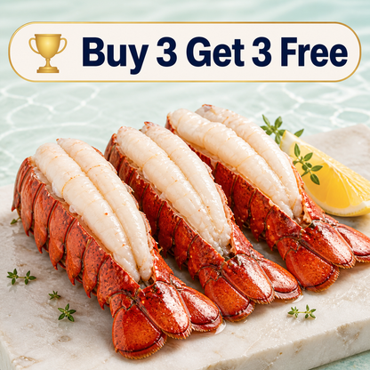🦞 Ovelqo Premium Maine Lobster Tails Wild-Caught • Sweet • Juicy • Firm-TTBD